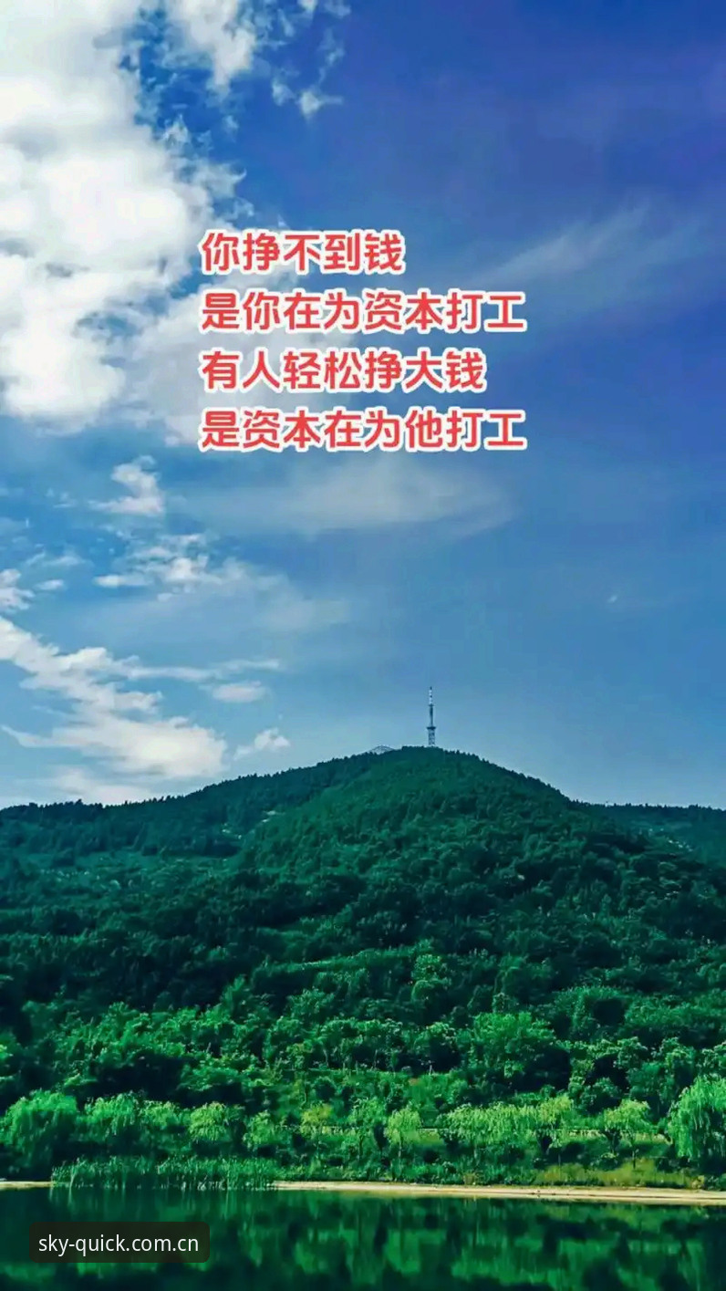 星空入口官方海外华人登录教程 海外华人登录星空入口的4个正确逻辑,别再被“官方教程”带偏了